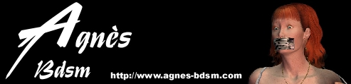 banniere Agnes Art