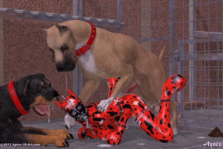 Dogfuck-anim-Be patient