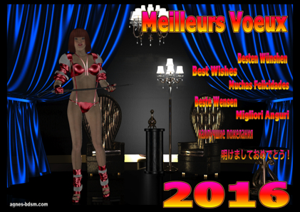 voeux2015