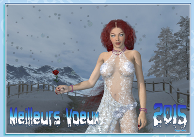 voeux2015